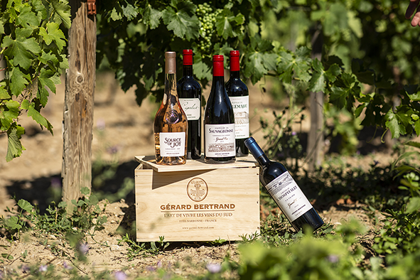 Grand Vin vignes caisse bois Gérard Bertrand