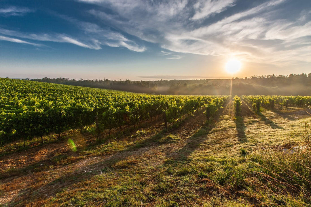 Le goût du terroir