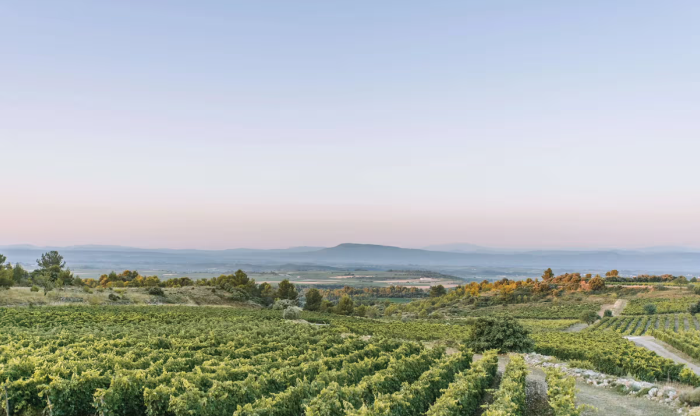 Minervois Occitanie