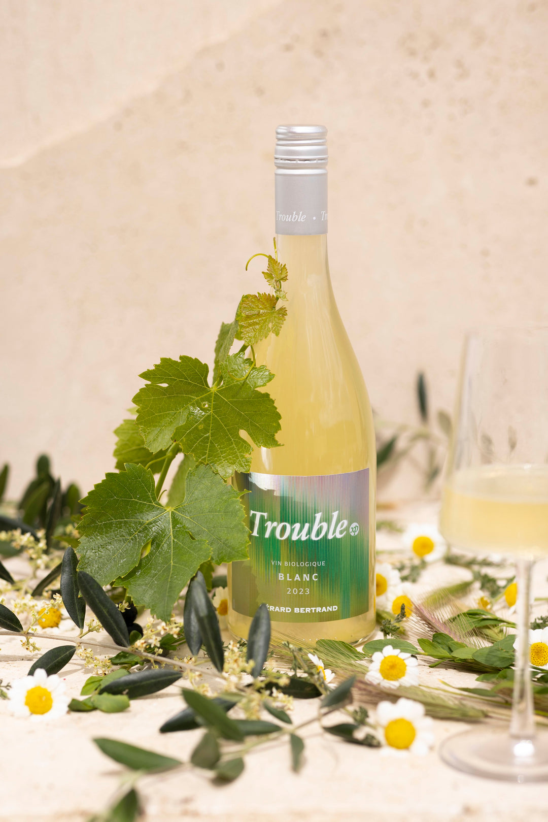 Trouble vin blanc : une expression élégante du terroir 